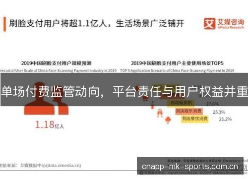 单场付费监管动向，平台责任与用户权益并重